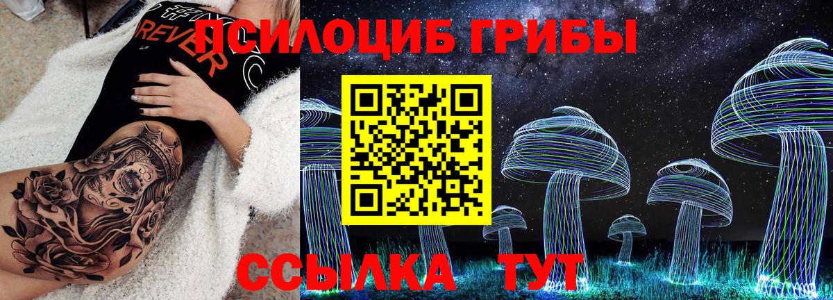 Псилоцибиновые грибы Psilocybe Вышний Волочёк