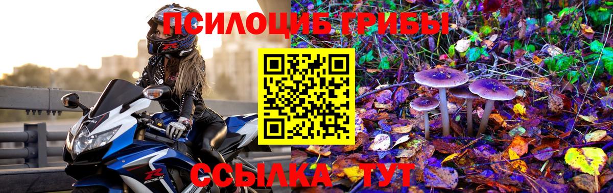 Вышний Волочёк  Галлюциногенные грибы GOLDEN TEACHER  Вход с VPN 